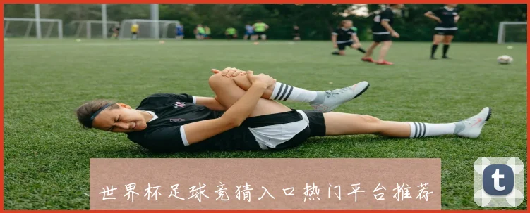 世界杯足球竞猜入口热门平台推荐与新手安全玩法技巧数据研判