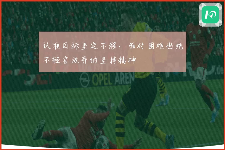 认准目标坚定不移，面对困难也绝不轻言放弃的坚持精神