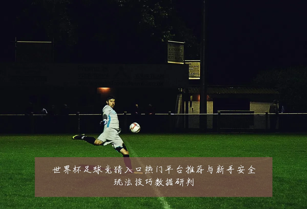 世界杯足球竞猜入口热门平台推荐与新手安全玩法技巧数据研判